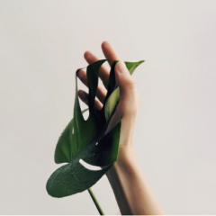 フヤ抜き(綜絖(そうこう)通し)